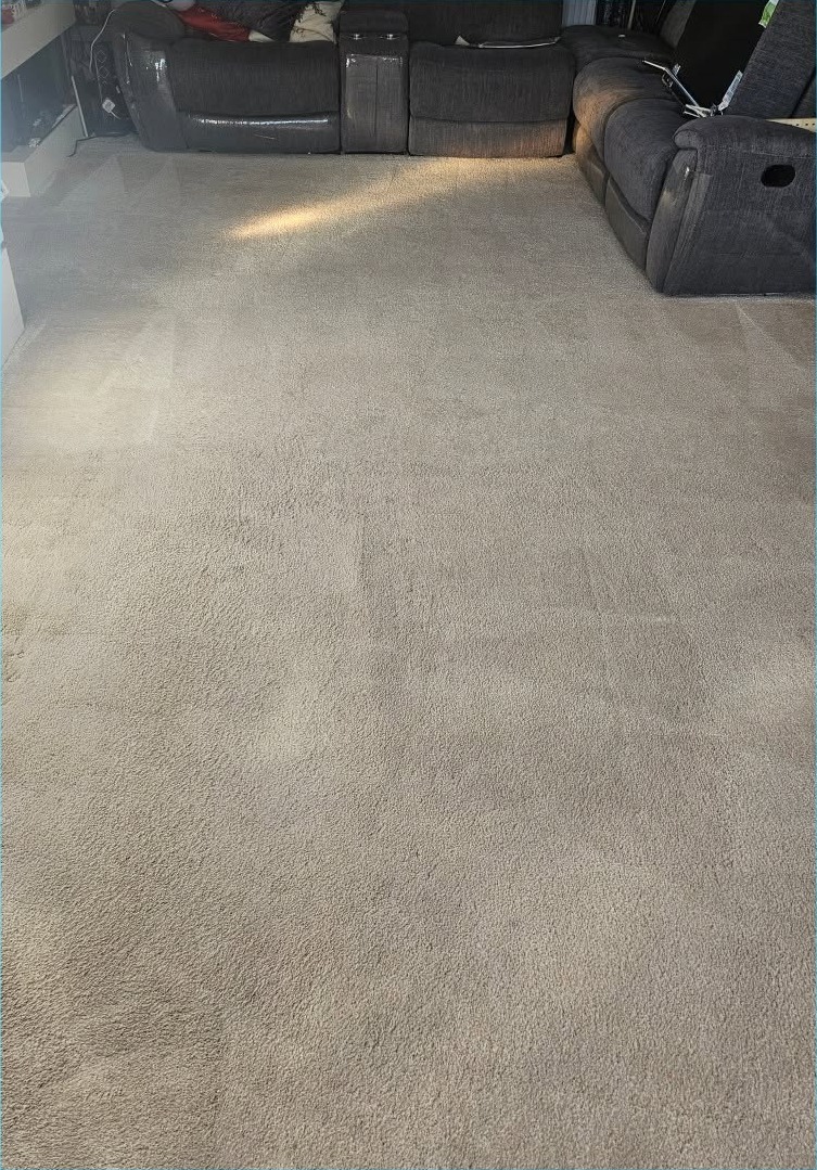Living room carpet fresh and restored after professional end of tenancy carpet cleaning in Norwich