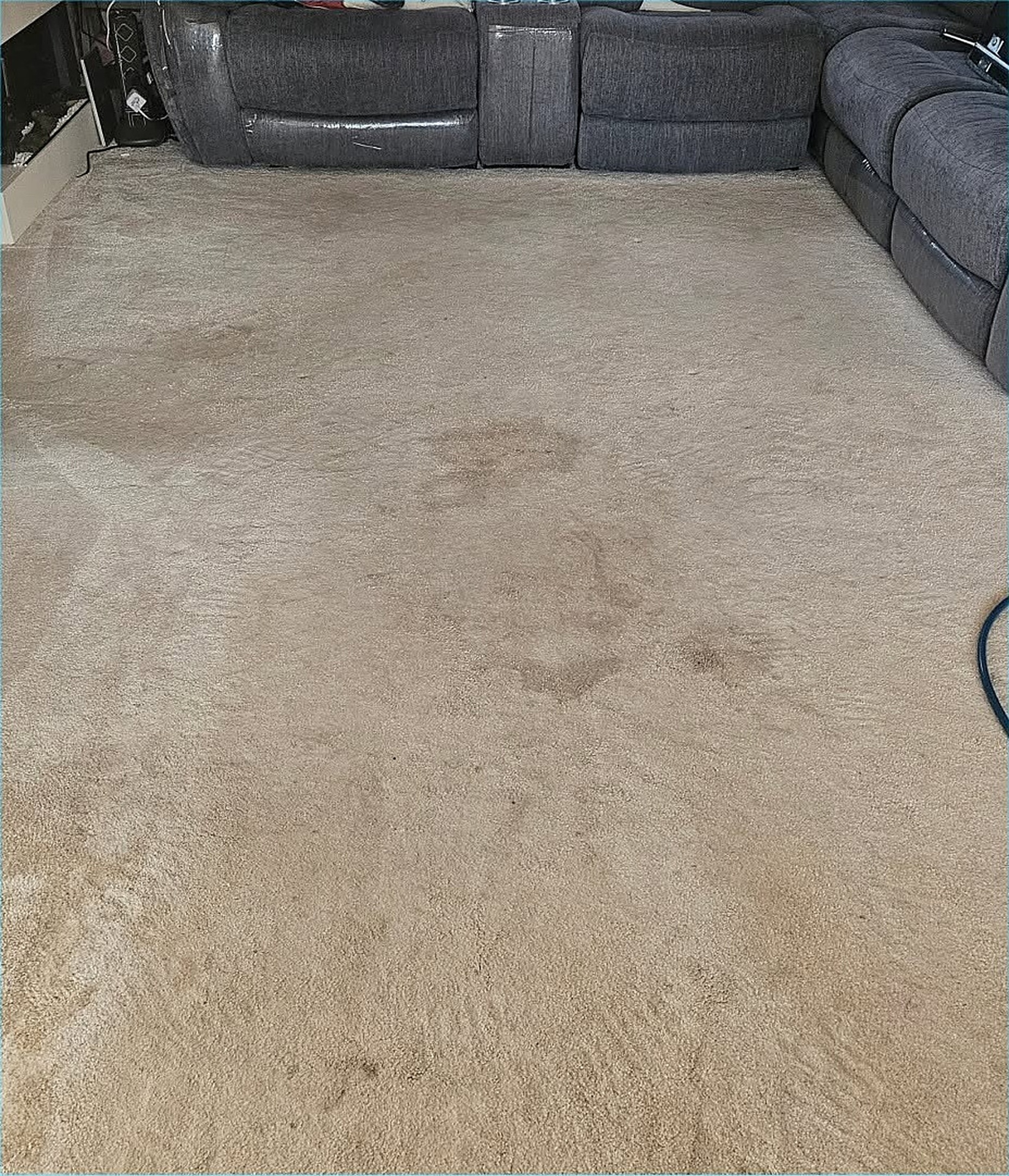 Living room carpet with visible stains and dirt before professional carpet cleaning in Norwich