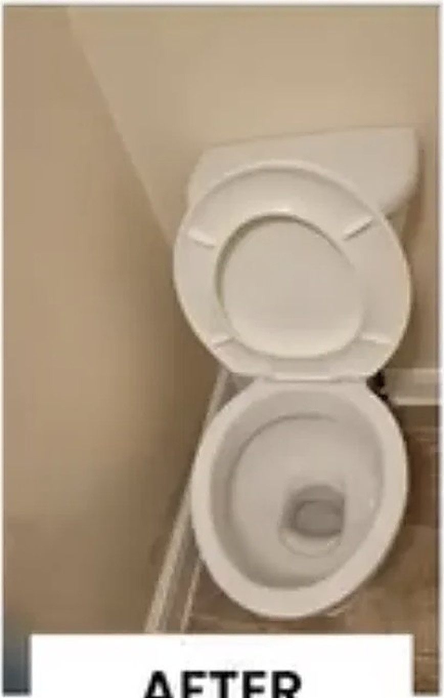 Toilet fully sanitised and stain-free after deep cleaning in Norwich